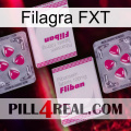 Filagra FXT 33